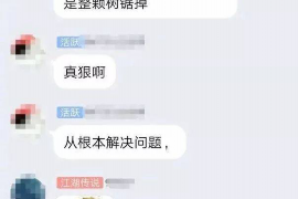 鄢陵债务清欠服务